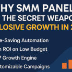 Make Money with SMM Panels: Beginner’s Passive Income Guide