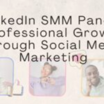 Top SMM Panels in the USA