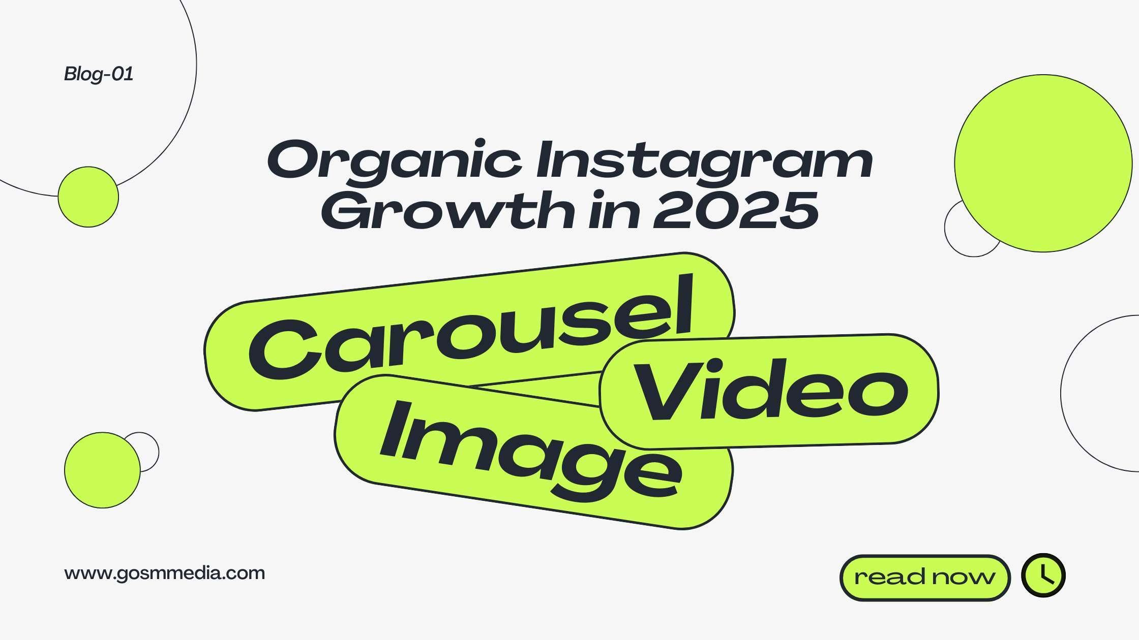 Organic Instagram Growth in 2025